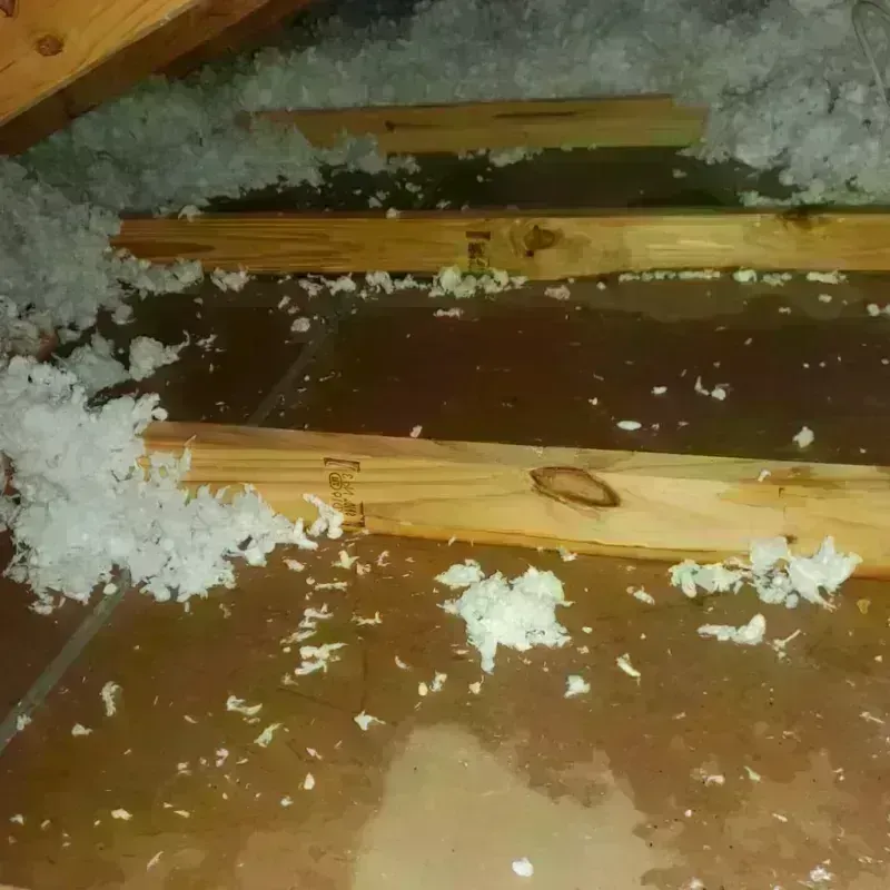 Attic Water Damage in Hartley County, TX